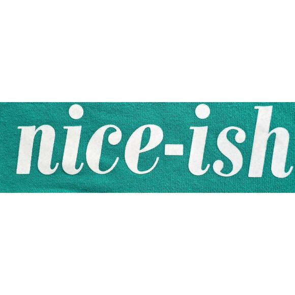 Aerie Womens XS Green Fleece Lined Sweater "Nice-Ish" Oversized - Picture 4 of 10